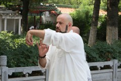 Ρόου Τσουάν στο Μητροπολιτικό Πάρκο της Λούο Γιαν