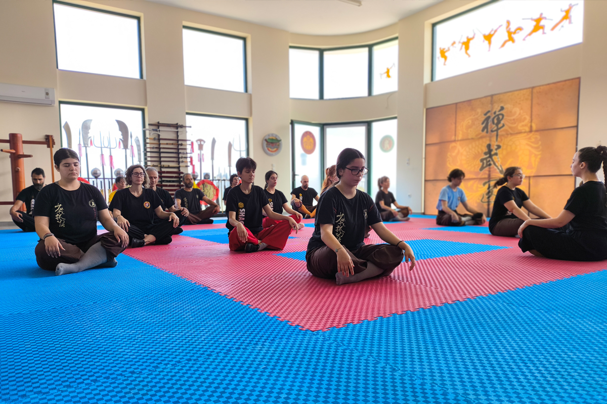 Τσαν.  Η Σιωπηλή Επανάσταση του Νου